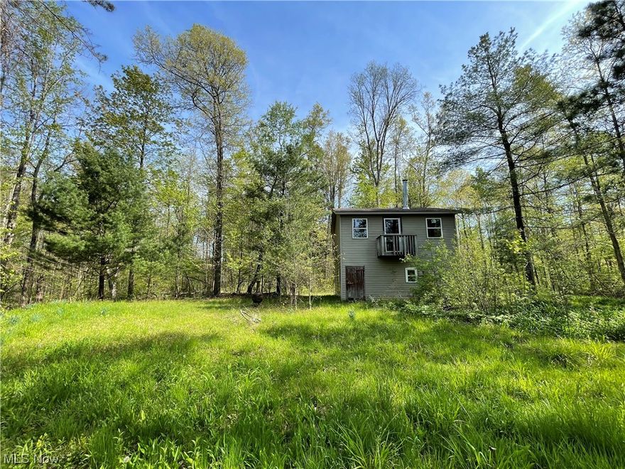 Great location on a quiet country road. This partially wooded lot is perfect for you dream home or quiet get away. This property has a two story hunting cabin/or garage with a wood burning stove. This property has Grand River frontage. Acreage is subject to survey.