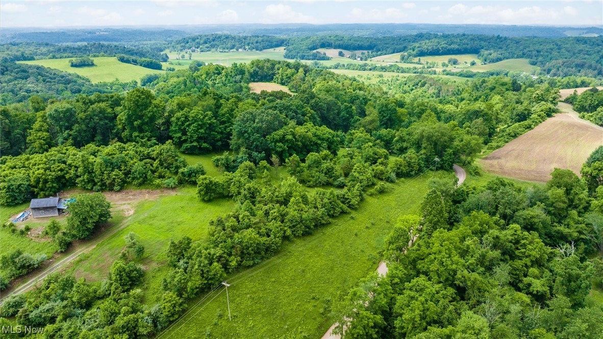 This stunning farm offers an ideal blend of income-producing tillable ground and woods, creating a perfect setup for hunting, recreation, or investment. Located in one of the state’s premier trophy whitetail regions, the property holds true big-buck potential.
With extensive road frontage, access is easy, and there’s strong potential for future lot splits. The rolling topography provides panoramic views from the upper fields, making it a beautiful place to build or enjoy.
A mix of open woods, thick cover, and productive farmland makes this property as functional as it is scenic. Seller's mineral rights will transfer.
Whether you're looking for an incredible hunting property, a place to build your dream home, or a smart long-term investment, this one checks every box!