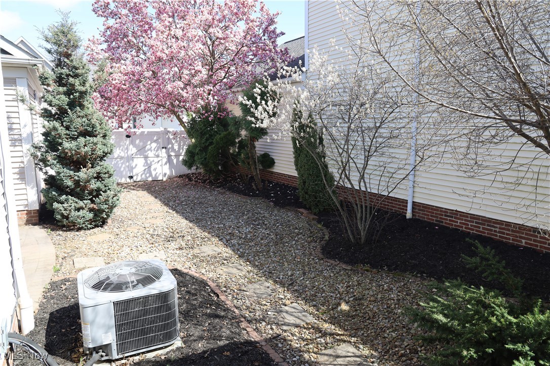 1949 E 83rd Street, Cleveland, Ohio image 3