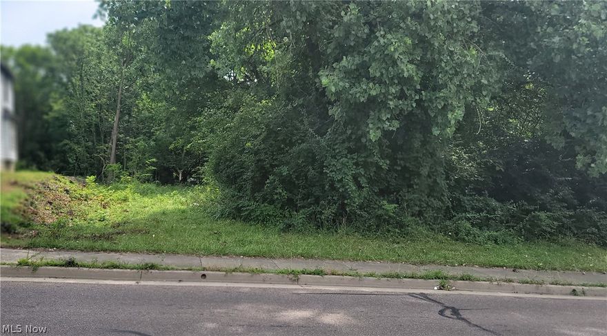 Lot for Sale in West Akron.