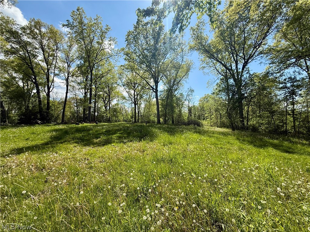Allendale Acres - Residential