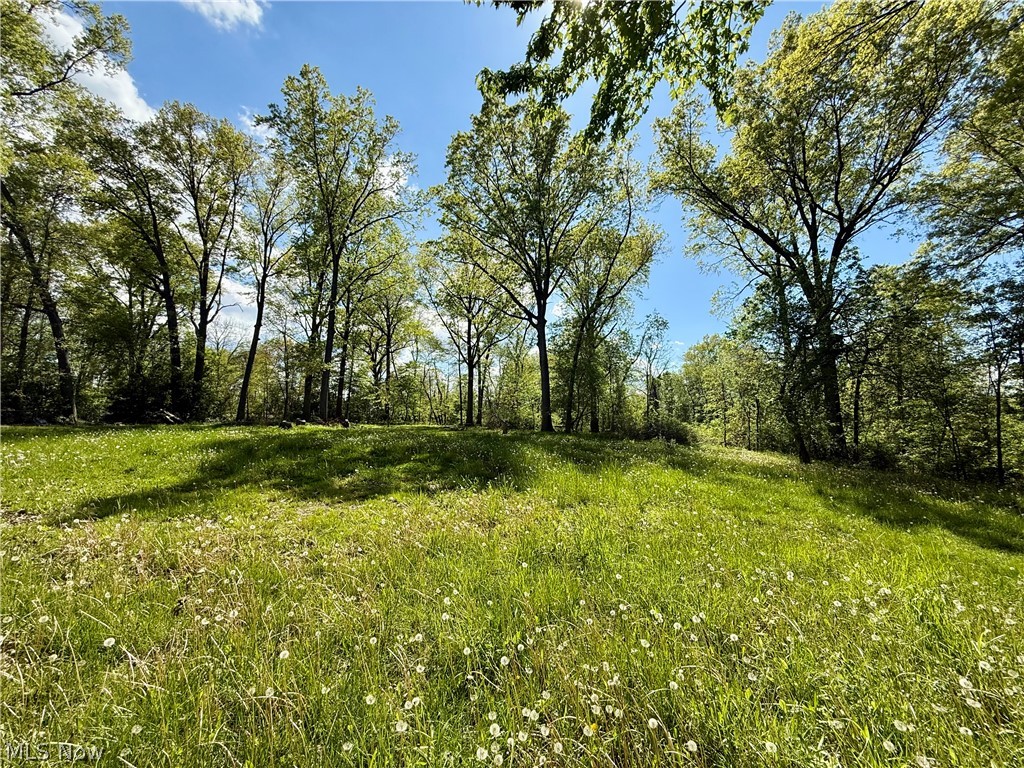 Allendale Acres - Residential