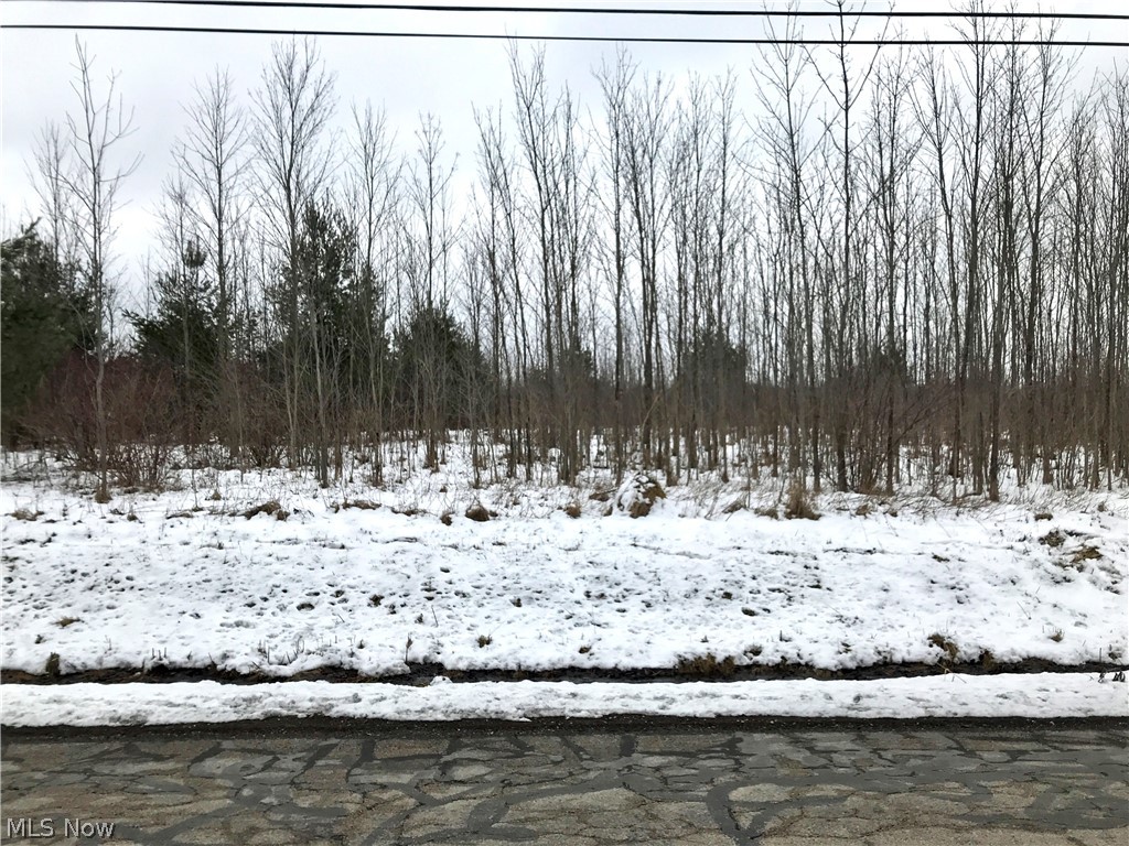 A beautiful 10 acres in two (2) 5 acre lots. (Lot 330260000102: 199' x 1090' x 195' x 1088') (Lot 330260000103: 202' x 1088' x 197' x 1086') Can be purchased together or each lot can be purchased separately. Could be your hunting paradise, or the location of your new dream home.
