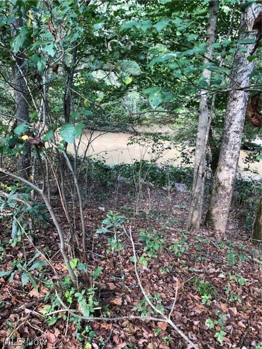 You must see this 6 acre camp approximately 20 miles from I-77! The property has mature trees, close to 850' of river frontage on the Hughes River. The electric needs restored but is available. There is a drilled well that offers plenty of water but not suitable for drinking. There is a septic but no info available on it. There is also a 2001 camper on the site. This is a must see property!!