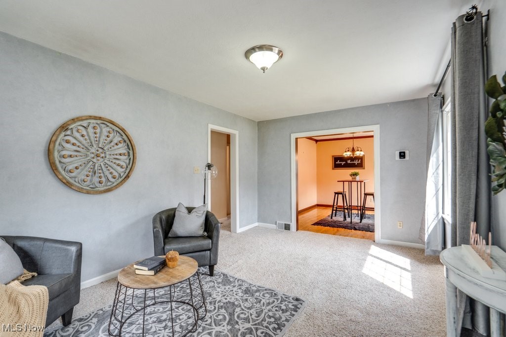 Buena Vista Village Allotment - Residential