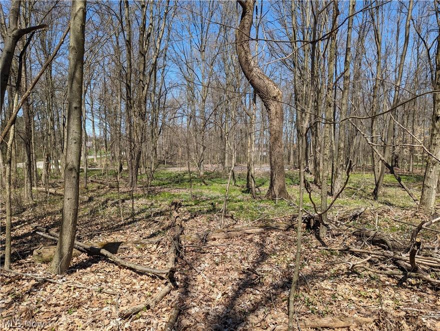 Beautiful 1.55 acre wooded homesite. Bring your own builder. Just the right size for a piece of the Country. Enjoy nature at its finest. Slight hill at the back of the property. Water & electric are available. White markers on the trees are the approximate dividing line of the neighbor's lot to the North and the seller's lot. The soil tests have been done in 3 different areas near the front. They have been marked for potential sewage system. There is an orange flag marking where they are at. Any other tests needed would be done by the purchaser. Sullivan Zoning inspector stated that the home needs to be at least 100 ft setback from the center of the road. 20 ft off the property lines., & 40ft from the rear lot line. Any questions call the zoning Inspector. 1390 square foot minimum for the home. Purchaser would need to also get a zoning permit. Hurry & make an appointment to see. Very affordable homesite that won't last long.