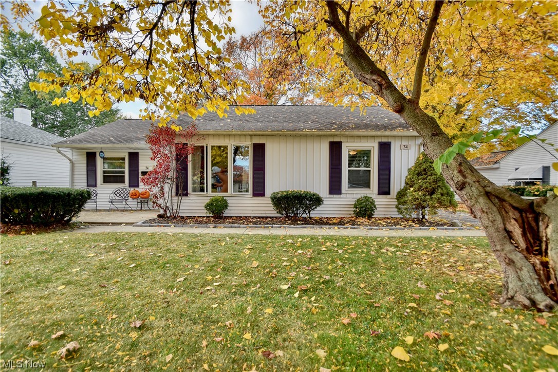 Hawthorne Drive Allotment - Residential