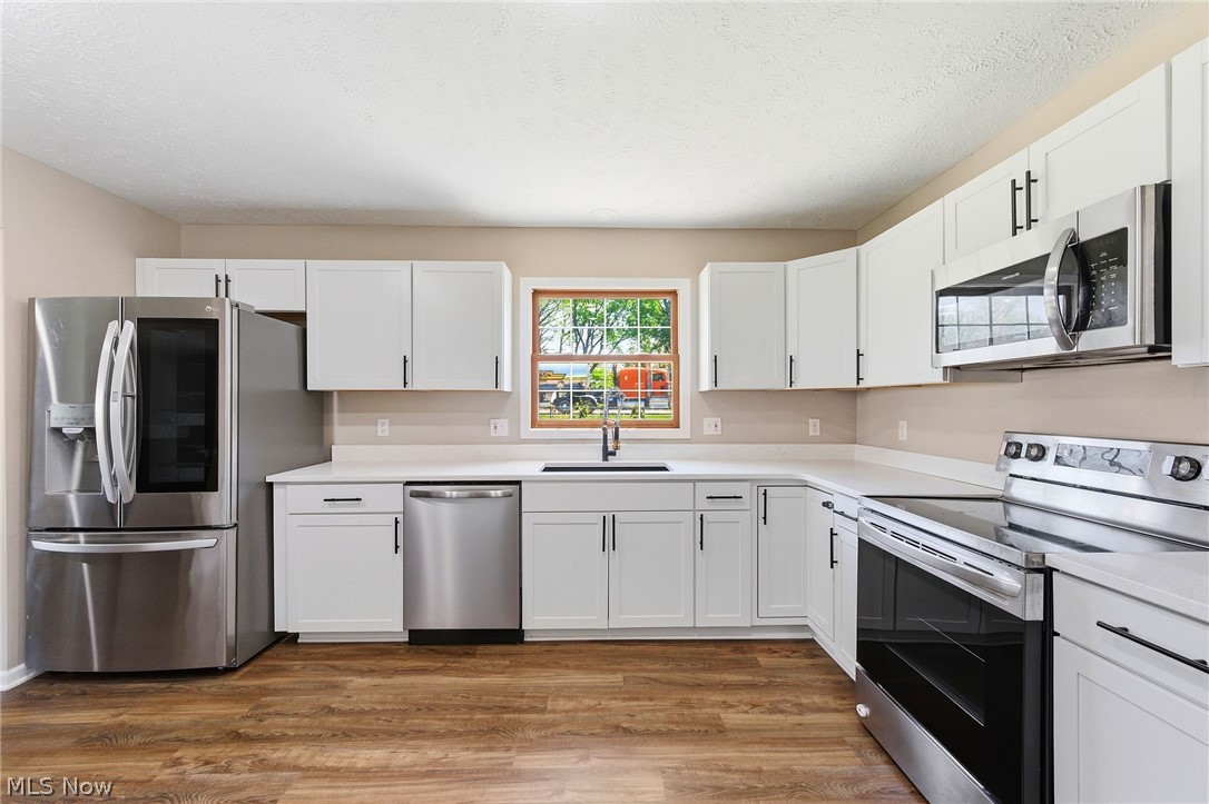 Original Mentor Township - Residential