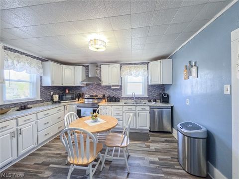 Tiny photo for 380 E Main Street, East Palestine, OH 44413 (MLS # 5206203)