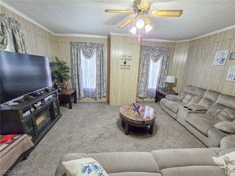 Tiny photo for 380 E Main Street, East Palestine, OH 44413 (MLS # 5206203)