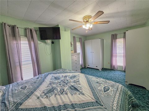 Tiny photo for 380 E Main Street, East Palestine, OH 44413 (MLS # 5206203)