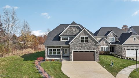 4601 St Joseph Way, Avon, OH 44011 - #: 5114025