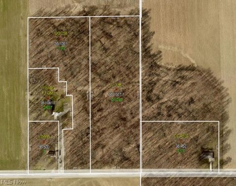 Vacant Land For Sale - Steiner Road<br/> Sterling, OH 44276