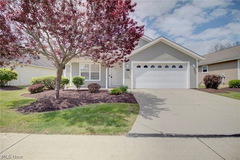 Homes For Sale - 3900 Edinburgh Drive<br/> Medina, OH 44256