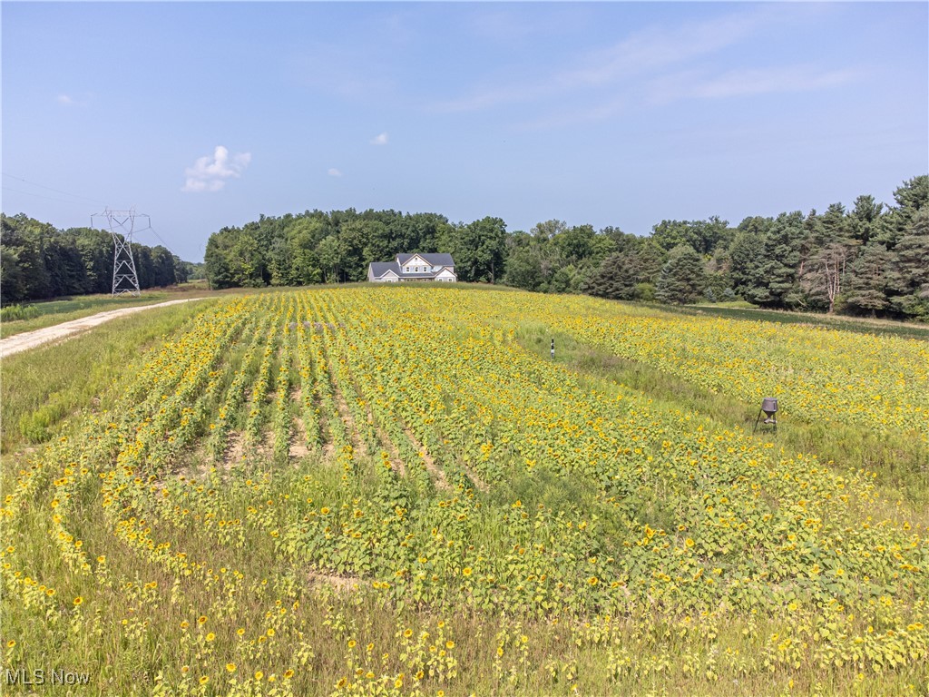 Medina - Residential