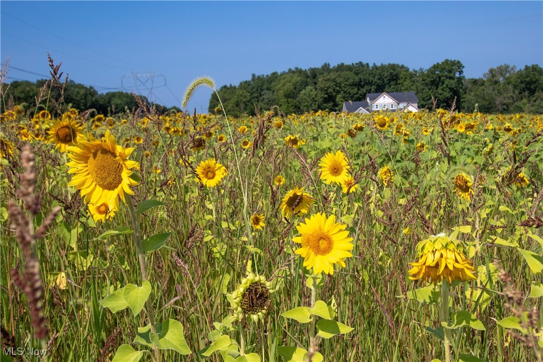 Medina - Residential