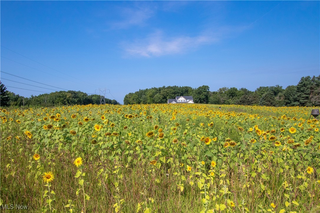 Medina - Residential