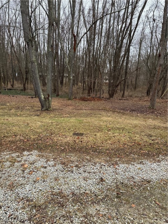 Green - Residential Lease