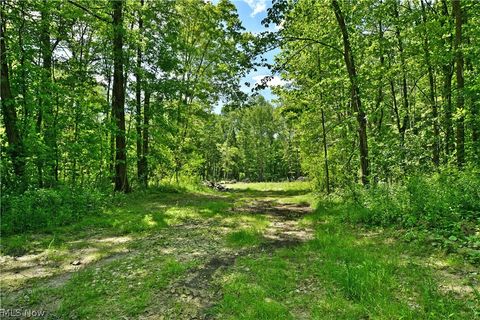 Vacant Land For Sale - Mahan Denman Road<br/> Bristolville, OH 44402