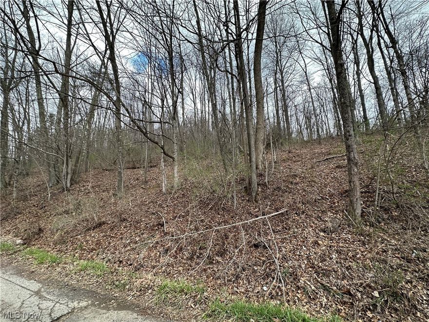 17.96 +/- acres in Wallace, WV.  A clean canvas to call your own and make it exactly what you want and dream of. Would also make a great hunting property. Currently there are no utilities on the property. There is an ATV path on the property and with some work a homestead site could be made or enjoy off grid living for a weekend getaway.