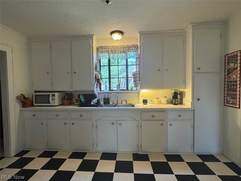 Tiny photo for 1535 Marlowe Avenue, Akron, OH 44313 (MLS # 5193000)