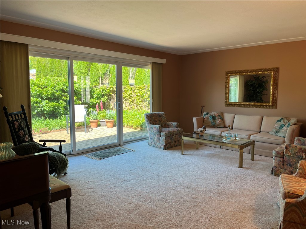319 Robin Drive