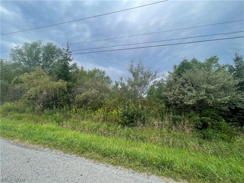 Vacant Land For Sale - Smith Road<br/> Ashtabula County, Jefferson, OH 44047