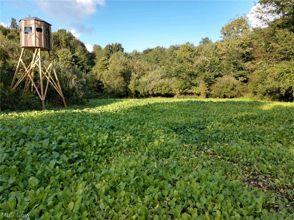 Wk Johnsons Land - Land