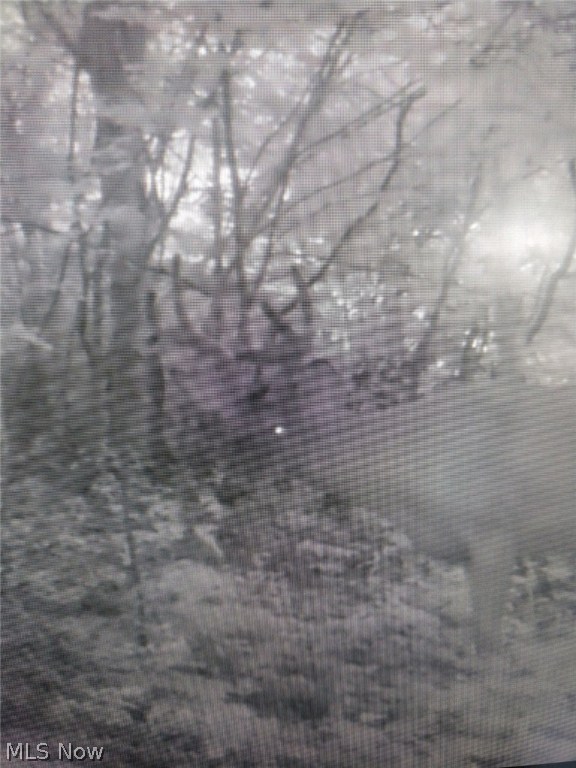 Wk Johnsons Land - Land