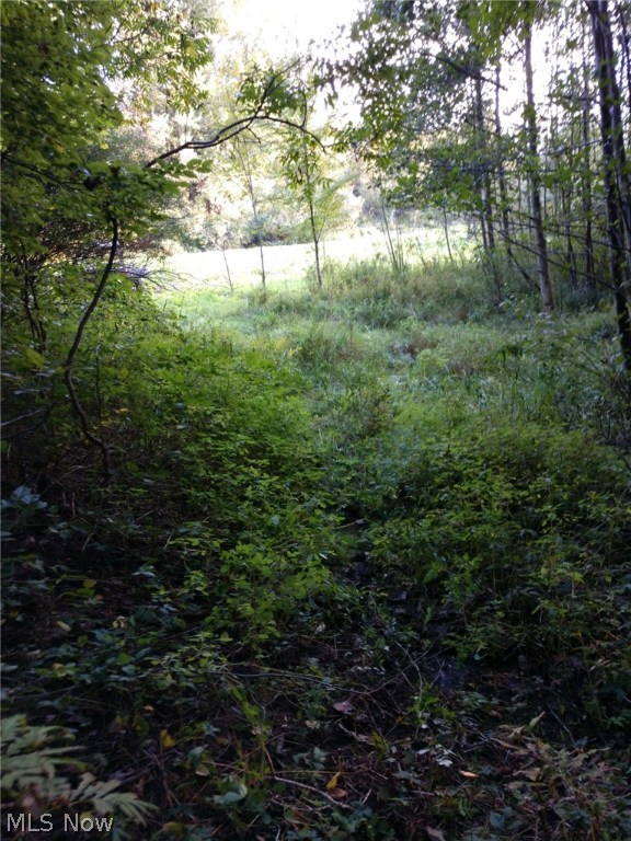 Wk Johnsons Land - Land