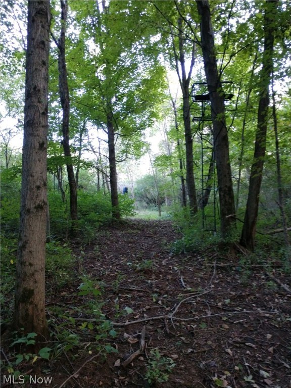 Wk Johnsons Land - Land