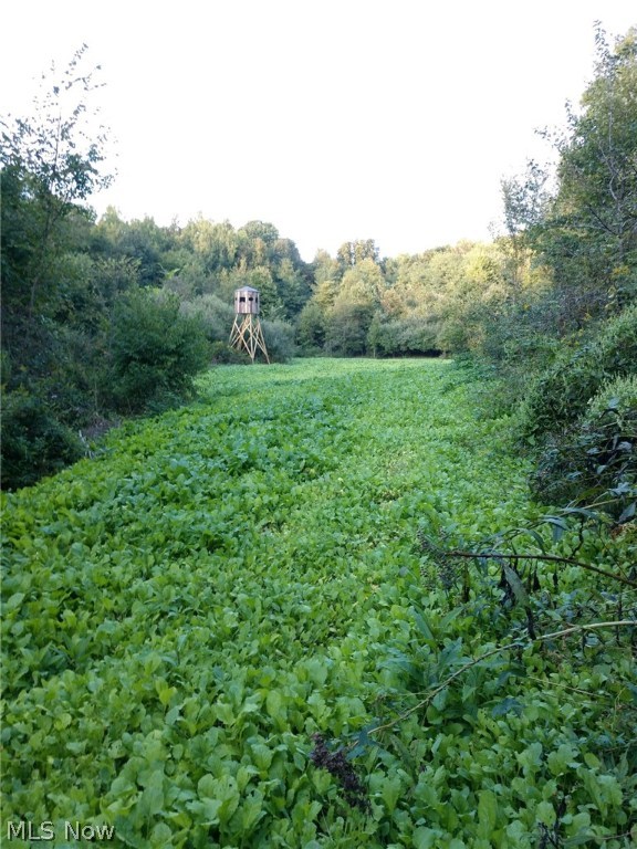 Wk Johnsons Land - Land