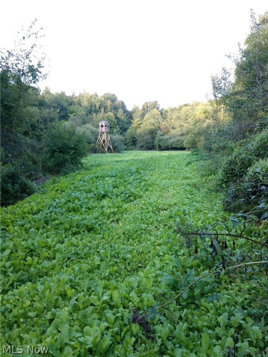 Auction 10/15 Here is an excellent opportunity to get your hunting spot for the upcoming season. 18+ acres with food plots and a tree stand all set up for you. The land is wooded throughout, with trails. All mineral rights transfer. Walk this land or take your ATV at your convenience. TERMS: 10% Buyers Premium. 10% nonrefundable down payment with the balance due at closing. No contingencies. Sells “As Is” and subject to all articles of record. Announcements day of sale take precedence over all other advertising. Immediate Hunting Rights granted to successful buyers. LEGAL: Parcel # 0290000126100 in Oxford Township of Coshocton County and Ridgewood LSD. Taxes per half year are: $368.69