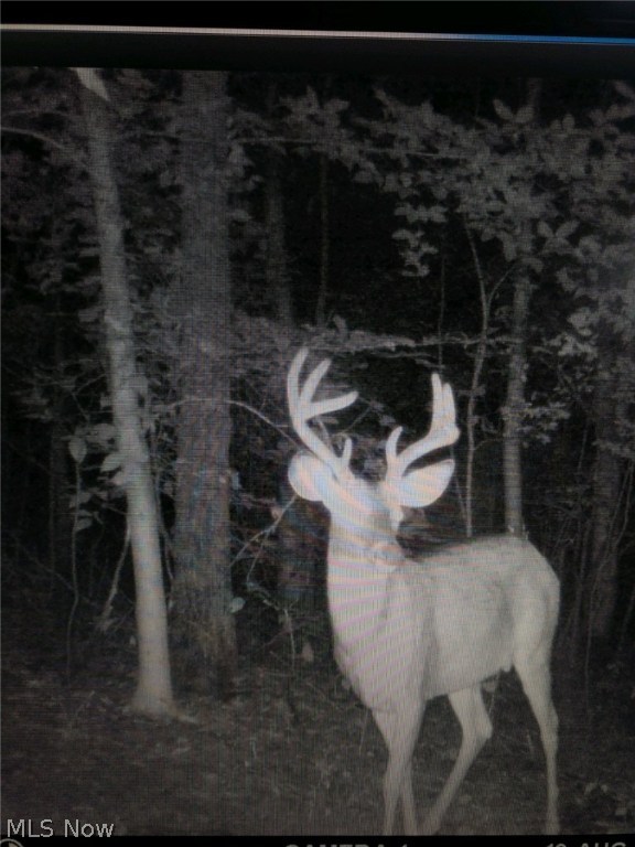 Wk Johnsons Land - Land