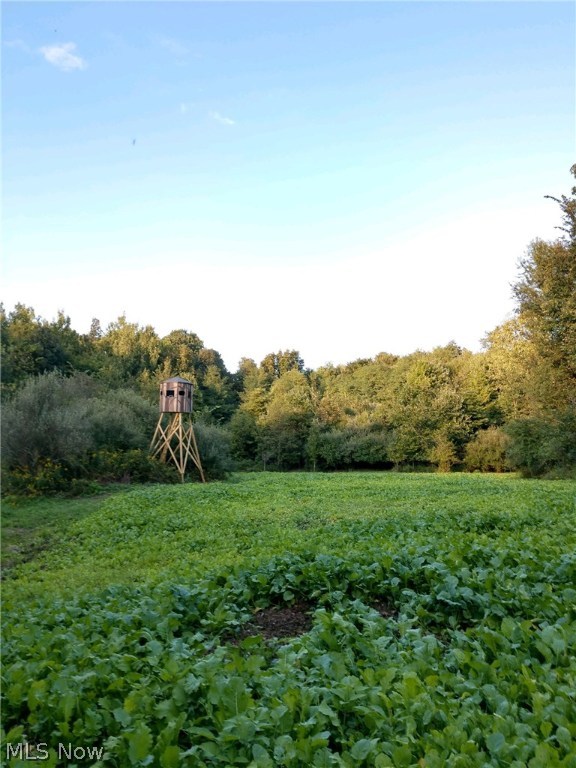 Wk Johnsons Land - Land