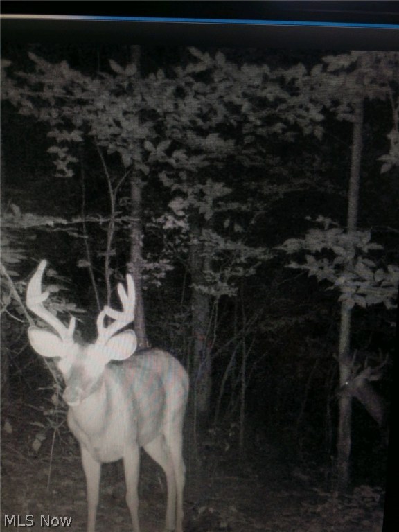 Wk Johnsons Land - Land