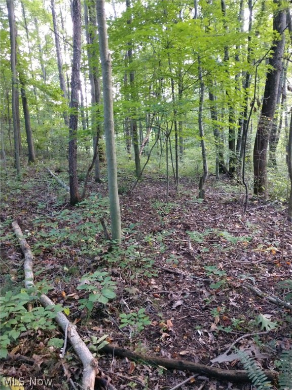 Wk Johnsons Land - Land