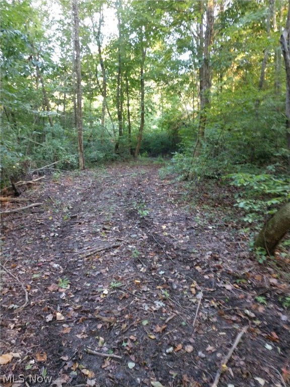 Wk Johnsons Land - Land