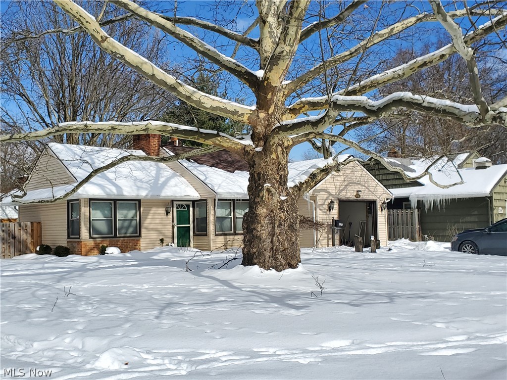 Kew Gardens 04/Taft & Blackma - Residential