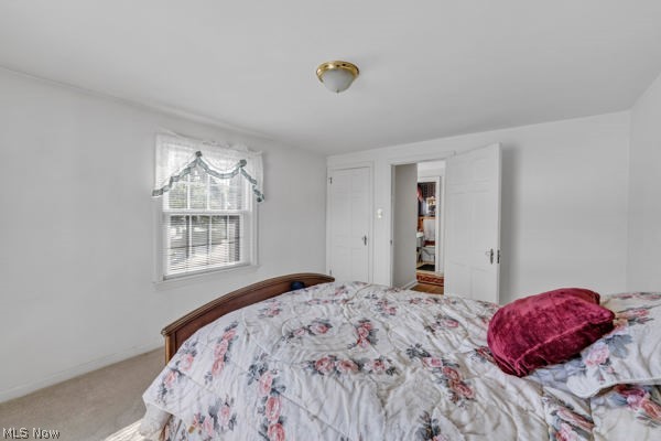 Castle Park - Residential