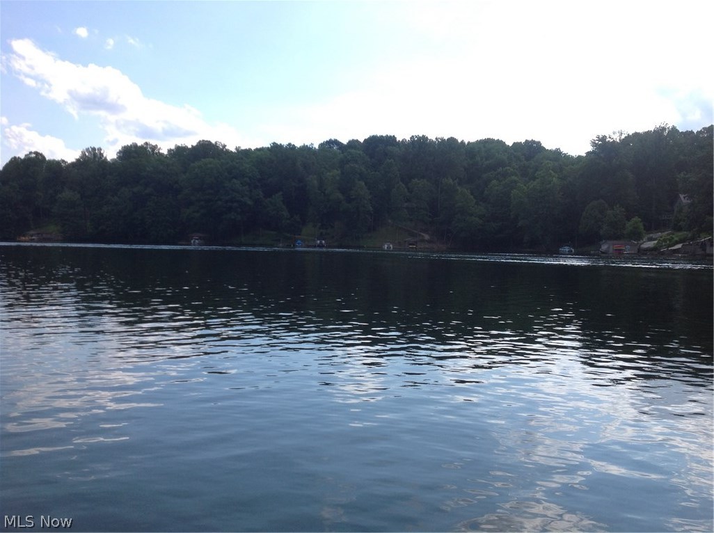 Lake Buckhorn - Residential