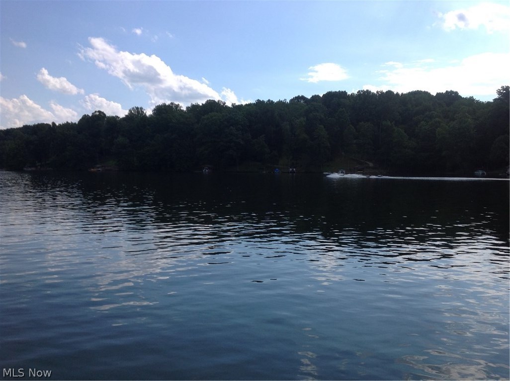 Lake Buckhorn - Residential