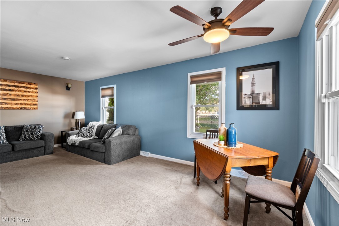 Mayfield Heights Park - Residential