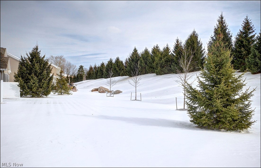 The Preserve of Westlake - Residential