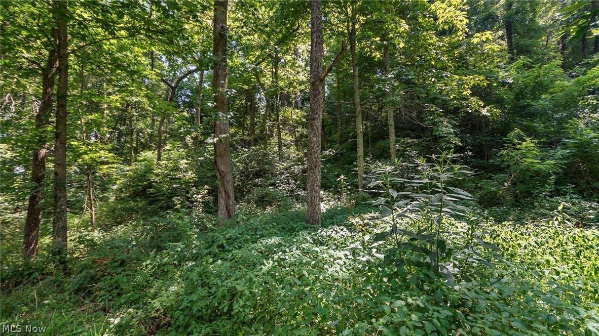 3200 Woodyard Road