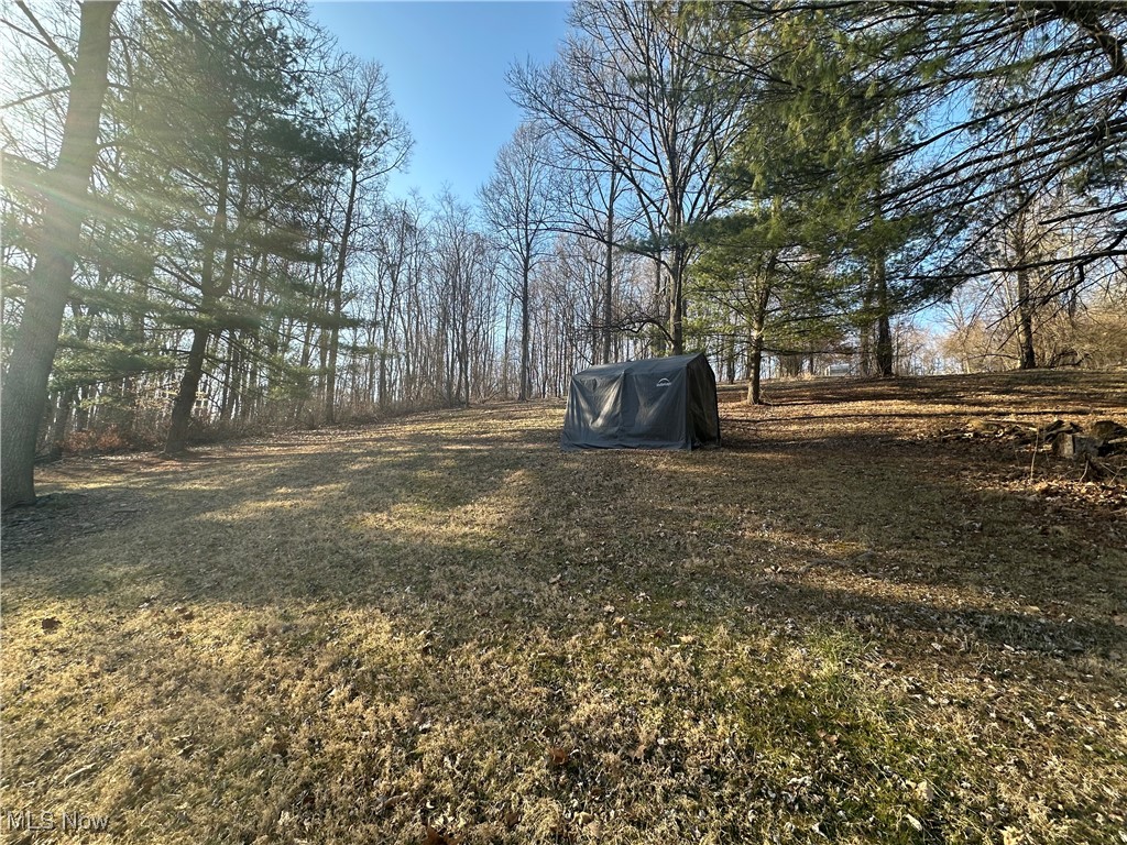 8051 Antigua Road, Sherrodsville, Ohio image 3