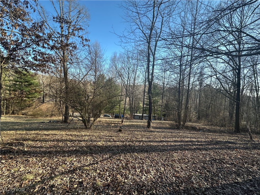 8051 Antigua Road, Sherrodsville, Ohio image 6