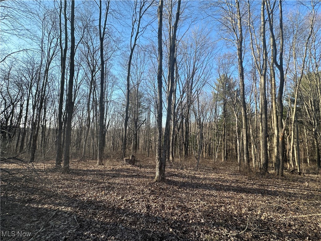 8051 Antigua Road, Sherrodsville, Ohio image 10