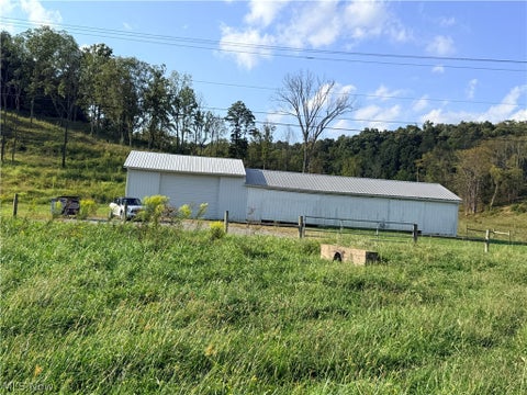Tiny photo for 52047 Carpenter Road, Summerfield, OH 43788 (MLS # 5248591)
