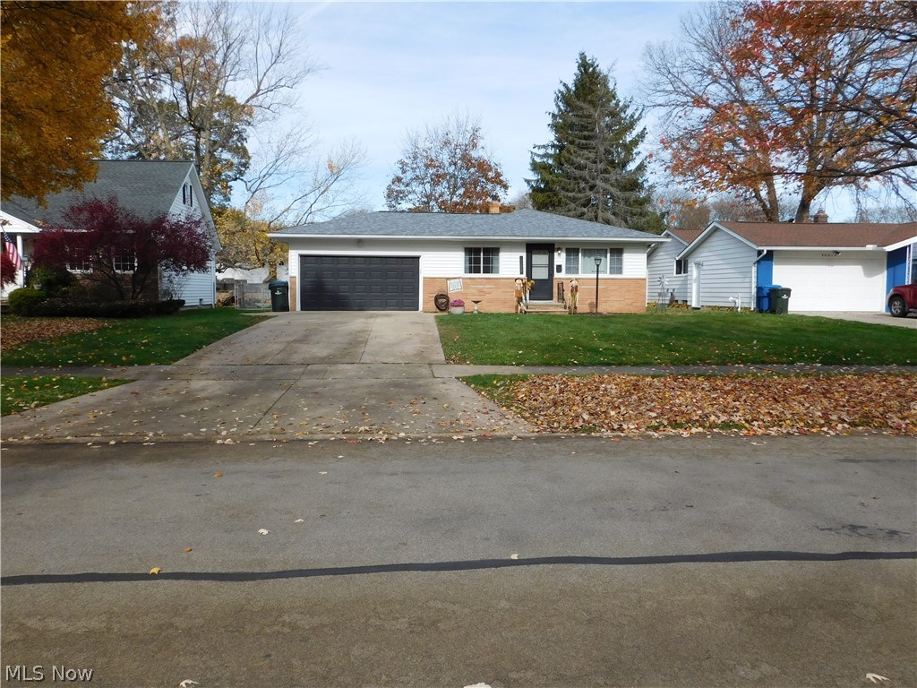 Tree Lane 02 - Residential